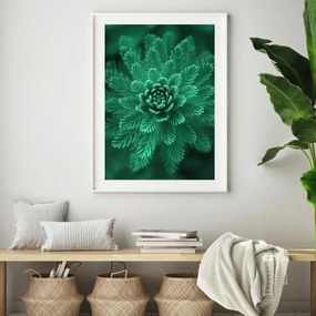 Plakat - Conifer Green (A4)