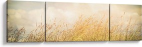 Obraz - Pole jesienią (170x50 cm)