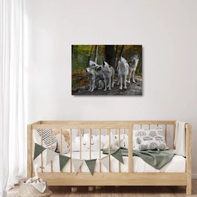 Obraz na szkle - Wilki na skale (70x50 cm)