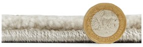 Jasnoszary dywan 200x290 cm Elio Silver – Think Rugs