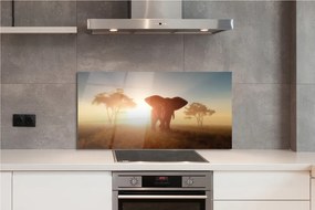 Panel szklany do Kuchni Słoń o Wschodzie Słońca na Sawannie