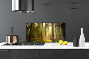 Panel Kuchenny Bór Sosnowy W Słońcu