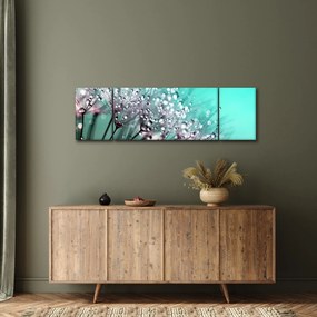 Obraz - zroszona roślina (170x50 cm)