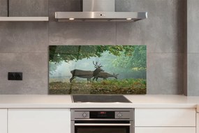 Panel nad Blat Kuchenny Jeleń w Jesiennej Aurze