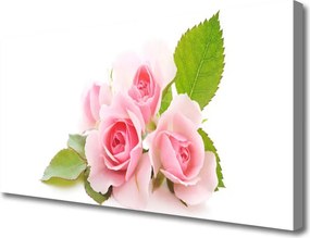 Fotoobraz na płótnie Herbaciane Róże w Ogrodzie