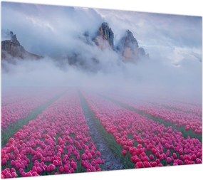 Obraz na szkle - Krajobraz z polami tulipanów (70x50 cm)