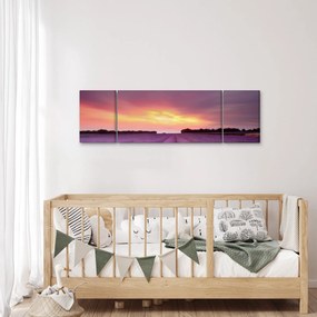 Obraz - Pole lawendy (170x50 cm)