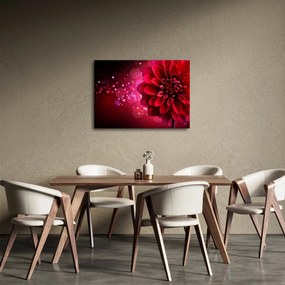 Obraz czerwonego kwiatu (70x50 cm)