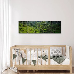 Obraz tarasów ryżowych Tegalalang, Bali (170x50 cm)