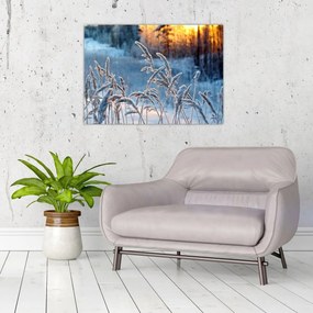 Obraz - Zimowa łąka (70x50 cm)