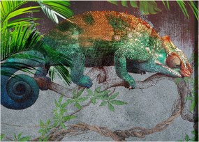 Obraz - Kameleon (70x50 cm)