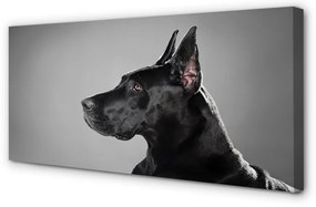 Duży obraz na płótnie Czarny Pies