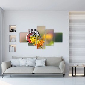 Obraz motyla na kwiatku (125x70 cm)
