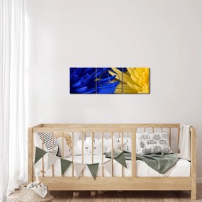 Obraz - szczegóły kwiatów (z zegarem) (90x30 cm)