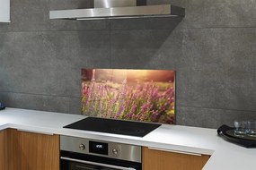 Szkło do Kuchni na Ścianę Rozległe Pole Wrzosów