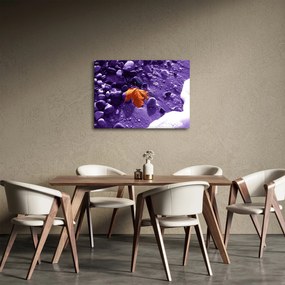 Obraz - Plaża morska (70x50 cm)