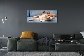 Duży obraz na płótnie Kot w Pozycji Leżącej