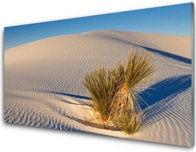 Panel Kuchenny Piaszczysty Pejzaż Pustynny
