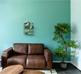 STILISTA Półka ścienna, ciemna drewno, 40 x 49,5 x 11,5 cm