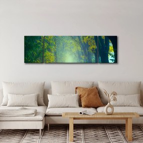 Obraz drogi wysadzanej drzewami (170x50 cm)