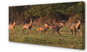 Zdjęcie na płótnie Jelenie na Polu o Wschodzie Słońca