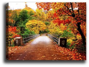 Obraz Tablo Center Autumn Bridge, 70x50 cm