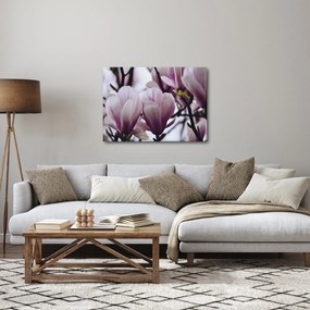 Obraz - Magnolia (70x50 cm)