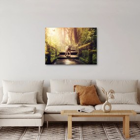 Obraz tygrysa (70x50 cm)