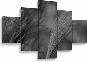 Obraz - Suszona trawa pampasowa (125x70 cm)