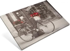 Obraz poinsecja, 40 x 60 cm