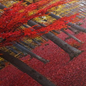 Obraz - Czerwony Las (125x70 cm)