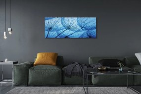 Obraz drukowany na płótnie Puszyste Dmuchawce z Rosą