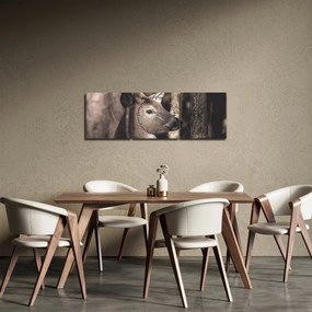 Obraz - Jeleń w lesie (z zegarem) (90x30 cm)