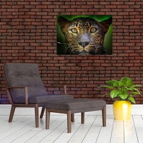 Obraz - Portret lamparta, Sri Lanka (70x50 cm)