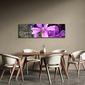 Obraz - kwiaty polne (170x50 cm)