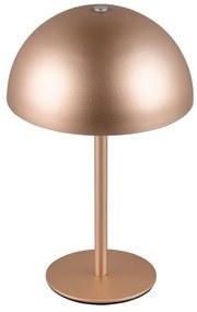 Lampa stołowa LED w kolorze brązu z metalowym kloszem (wysokość 21 cm) Munoz – Trio