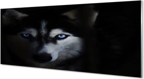 Panel Szklany Spojrzenie Dzikiego Wilka