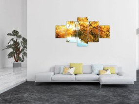 Obraz - Jesienne drzewo (125x70 cm)