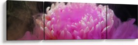 Obraz kwiatu w różowym dymie (170x50 cm)