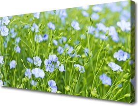 Fotoobraz na płótnie Kwiaty w Polnej Trawie