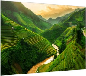 Obraz - Tarasy ryżowe Mu Cang Chai (70x50 cm)