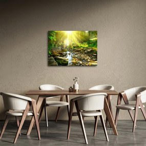 Obraz rzeki w zielonym lesie (70x50 cm)