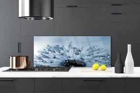 Panel Szklany do Kuchni Dmuchawiec w Porannej Rosie