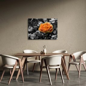 Obraz na szkle kwiatu (70x50 cm)