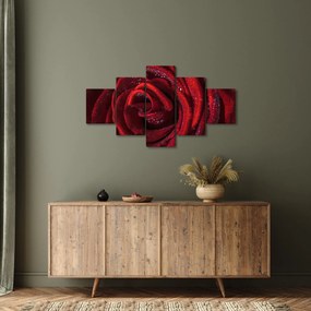 Obraz - Czerwona róża z kroplami rosy (125x70 cm)