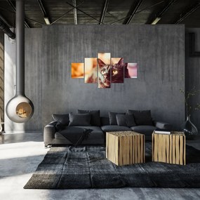 Obraz czarnego kota (125x70 cm)