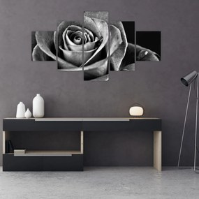 Obraz - Róża, czarno - biały (125x70 cm)