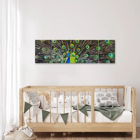 Obraz - Paw (170x50 cm)