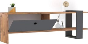 Stojak pod TV – 120 x 36,8 x 25 cm – Dąb i antracyt – Płyta wiórowa pokryta melaminą