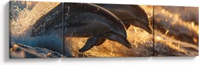 Obraz - Delfiny (170x50 cm)